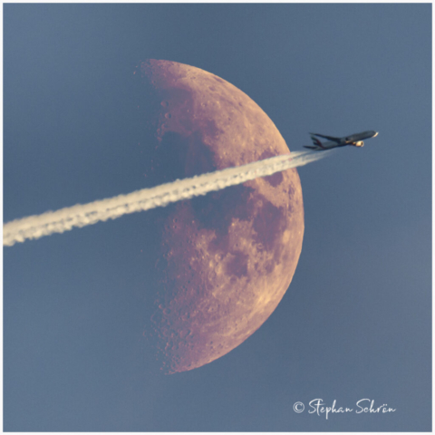 1200 mm